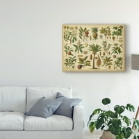 Zaštitni znak likovne umjetnosti 'klasifikacija tropskih biljaka' Canvas Art by Vision Studio