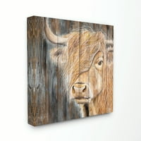 Stupell Home Décor Bull Portrait Wood Texture Farm Animal Painting Canvas Wall Art by Diane Fifer