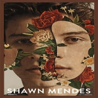 Shawn Mendes - cvjetni zidni poster, 22.375 34