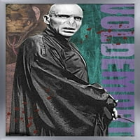 Wizarding World: Harry Potter - Voldemort sa Wind zidnom posterom, 14.725 22.375