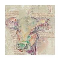 Zaštitni znak likovne umjetnosti' Farm Collage II ' platno Art Jennifer Goldberger