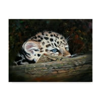 Zaštitni znak Fine Art 'Peekaboo Amur Leopard Cub' platno Art by Pip McGarry