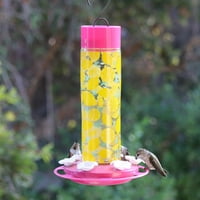 Alexov štand limunade stakleni hummingbird ulagač