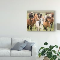 Zaštitni znak likovne umjetnosti' Grassland Horses III ' platnena umjetnost od Phburchetta
