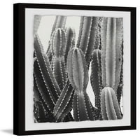 Vintage Cactus uokvireni slikarski umjetnički otisak, 20,00 1,50