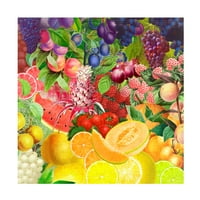 Cora Niele' Rainbow Fruits ' Platno Art