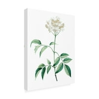 Vision Studio 'Soft Green Botanical VI' platnena umjetnost