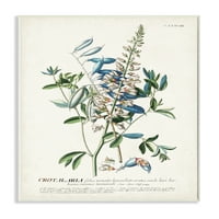 Stupell Industries ilustracija botaničkih biljaka cvijeće i lišće vintage dizajn Crteži Neuramljeni Art