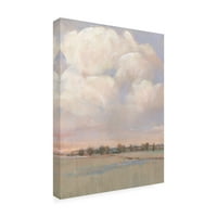 Tim OToole' Billowing Clouds I ' Canvas Art